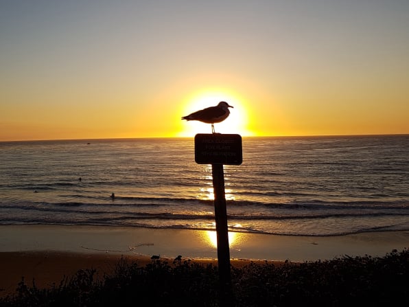 California